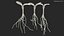 Sprout Roots Set