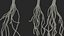 Sprout Roots Set