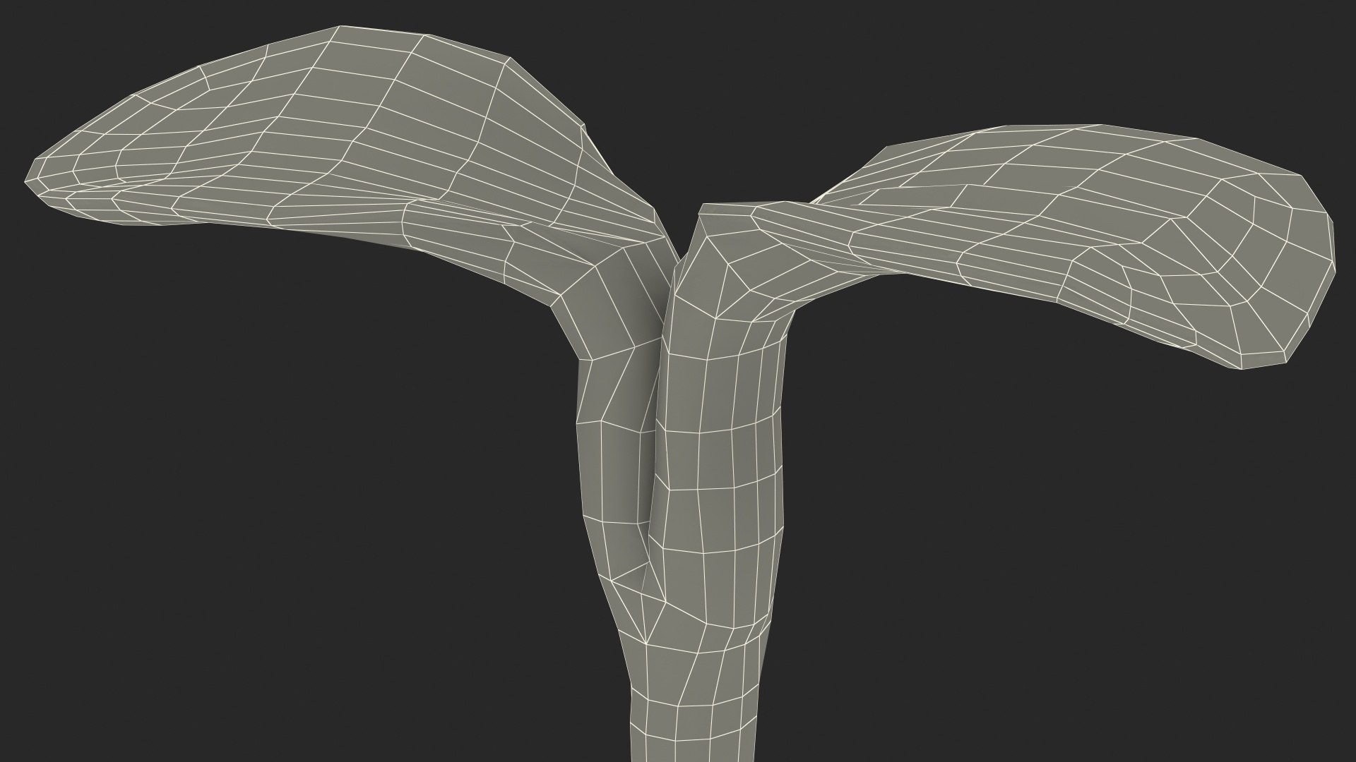 sprout roots set 3D https://p.turbosquid.com/ts-thumb/vY/amIOsM/cUT1ISkN/sproutrootsset3dsmodel025/jpg/1587511119/1920x1080/fit_q87/a98d52196d3471c08cbee0f7d1c12783af1dd675/sproutrootsset3dsmodel025.jpg
