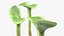 Sprout Roots Set