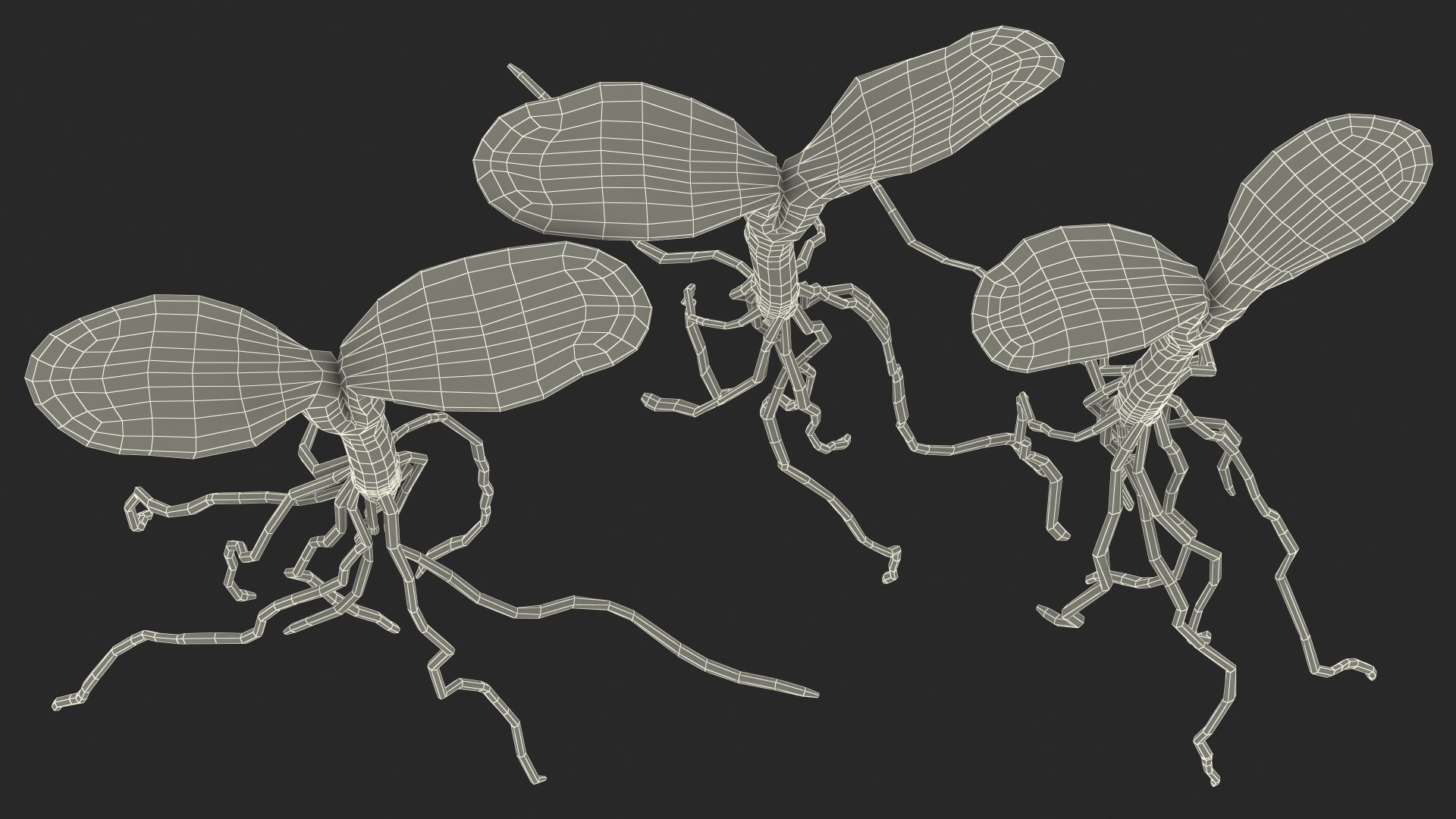 sprout roots set 3D https://p.turbosquid.com/ts-thumb/vY/amIOsM/zV9gmRBO/sproutrootsset3dsmodel023/jpg/1587511112/1920x1080/fit_q87/ce9ecbda78b434f54503cd044e85c1865b817943/sproutrootsset3dsmodel023.jpg