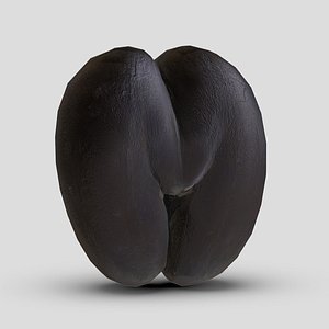 3D Fruit Coco De Mer Low Poly