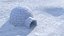 Igloo