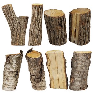 3D Scanned Wood 03 - Firewood - Logs -high poly - low poly model