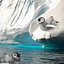 Collection Iceberg avec bébé pingouin