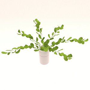 plant 3D