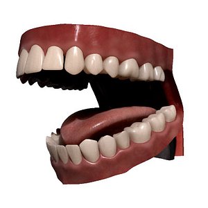 realistic mouth toung teeth human max