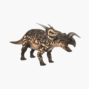 Einiosaurus 3D