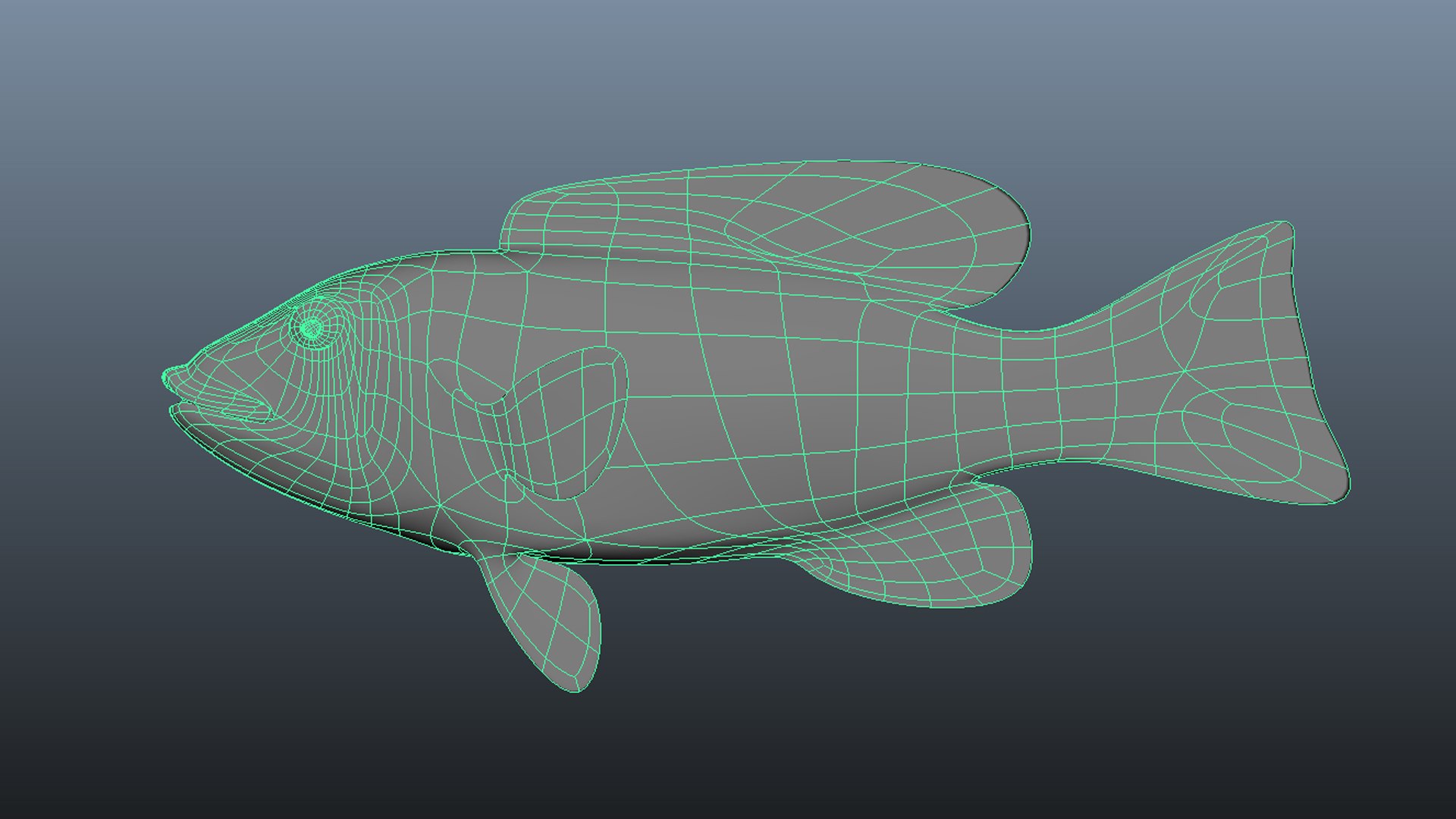 Sheephead 3D model https://p.turbosquid.com/ts-thumb/vZ/8aPCzx/zT/wire/jpg/1623493847/1920x1080/fit_q87/ae778ad75da23fb9a363a173384db62d15612136/wire.jpg