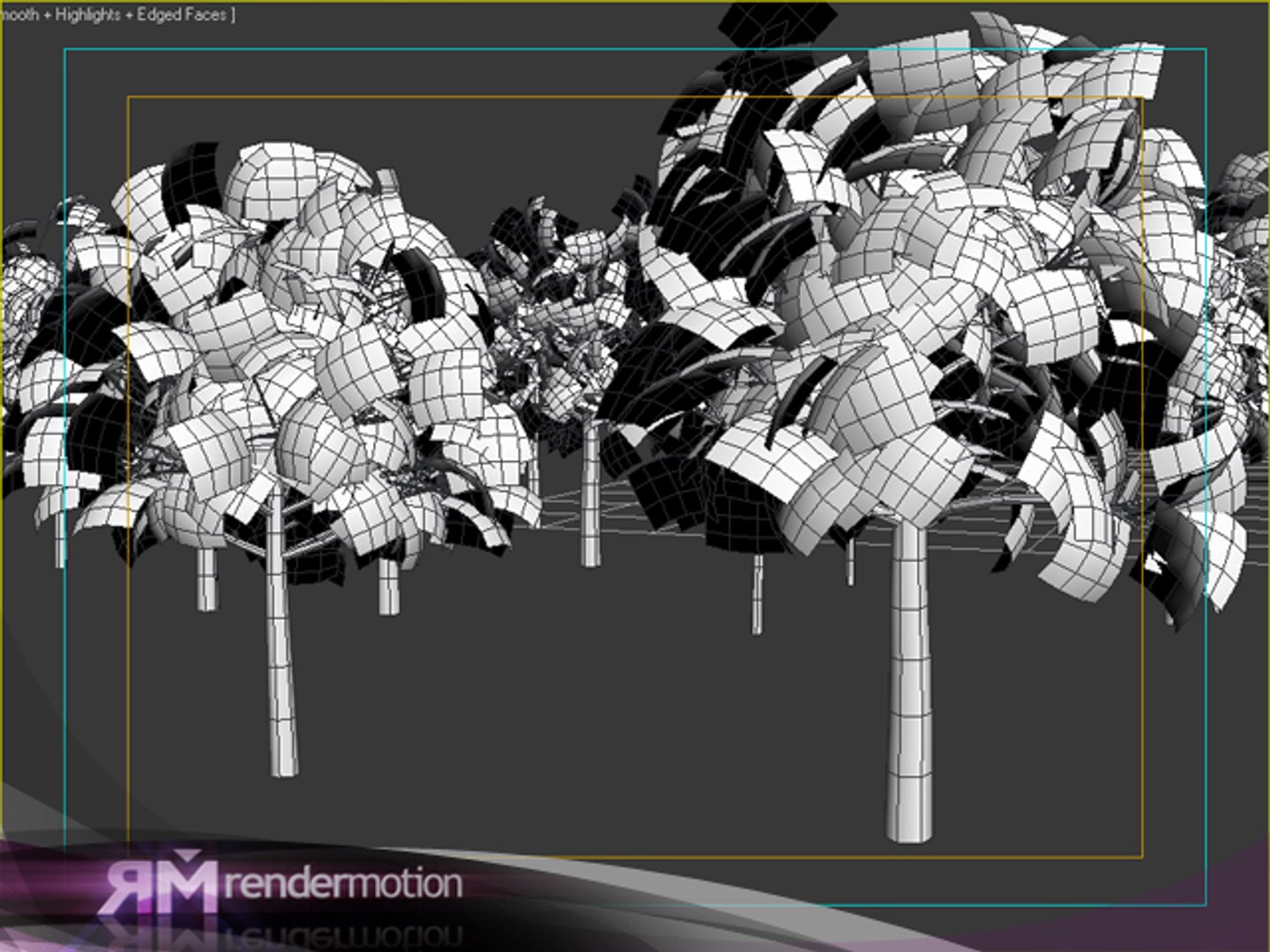 d2 c2 02 tree 3d model https://p.turbosquid.com/ts-thumb/vZ/ABXNva/9cof6uE5/blackolive_wireframe/jpg/1301419374/1920x1080/fit_q87/ea1a09f64ee9057a0c1eb2c1963c3e5e1729a52c/blackolive_wireframe.jpg