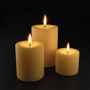 holiday burning candles 3D model