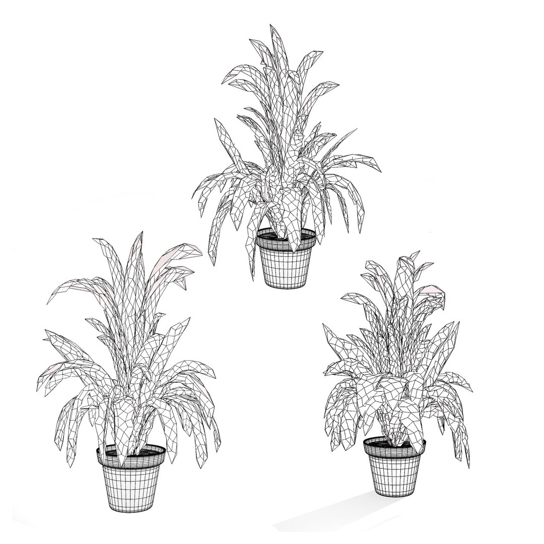 Versatile Pink Bromeliad 3D Model 3D model https://p.turbosquid.com/ts-thumb/vZ/Ggazu2/Fs/wire/jpg/1719141080/1920x1080/fit_q87/62beec4a9d23cdb1029dfe9b3a828c5e95b04aaf/wire.jpg