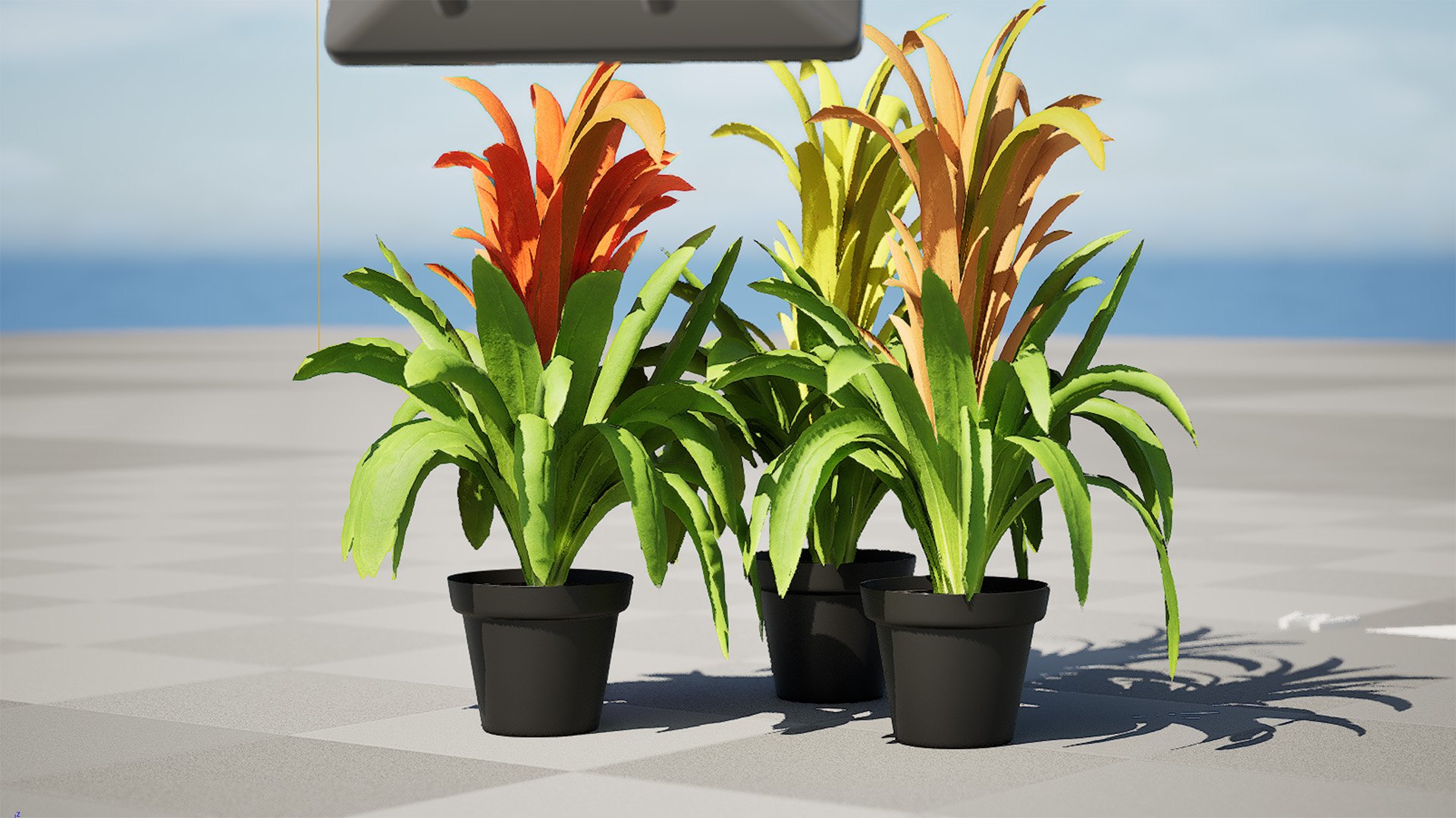 Versatile Pink Bromeliad 3D Model 3D model https://p.turbosquid.com/ts-thumb/vZ/Ggazu2/Zl/highresscreenshot00001/jpg/1719139620/1920x1080/fit_q87/3e3e58d217fd05b859aae535061ece7ecd11b452/highresscreenshot00001.jpg