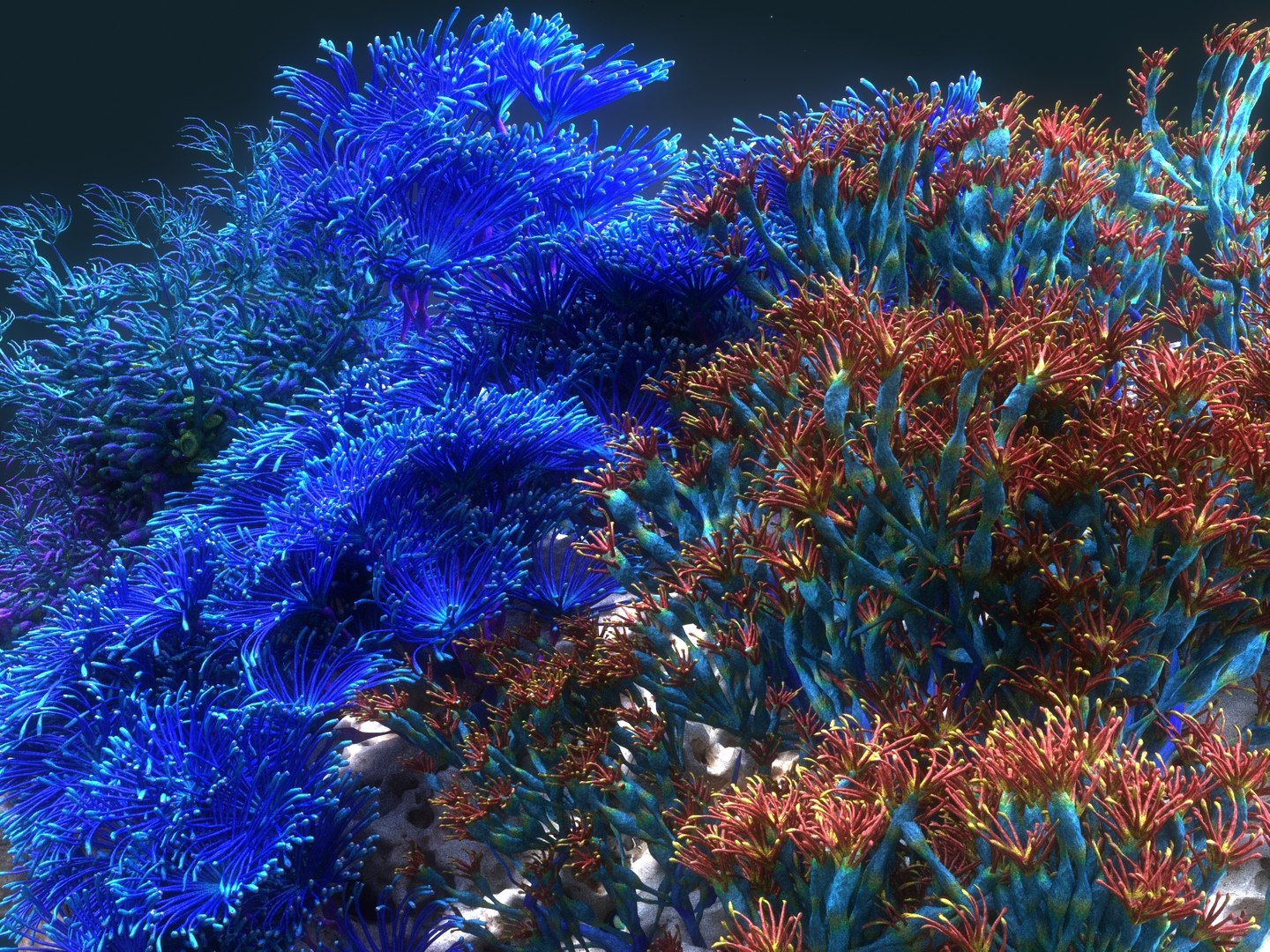 Coral Reef Ecosystem Plants 3D Model - TurboSquid 1366853