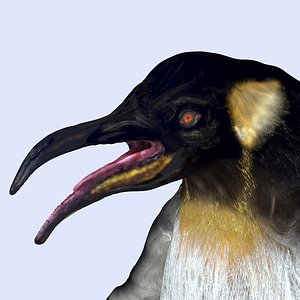 penguin 3D model