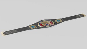 A G W American Champion Belt