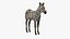 Zebra Adult Foal Fur