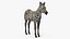 Zebra Adult Foal Fur