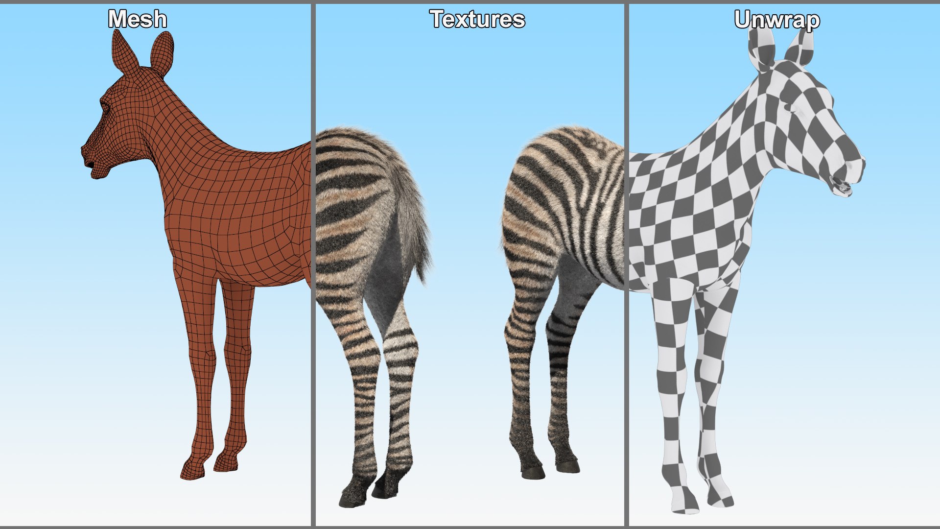 3D Zebra Adult Foal Fur https://p.turbosquid.com/ts-thumb/vZ/grEWco/sE/zebra_adult_foal_fur_011/jpg/1740186550/1920x1080/fit_q87/a22ede34244b878c77272d677d5b0d12a2382c3d/zebra_adult_foal_fur_011.jpg