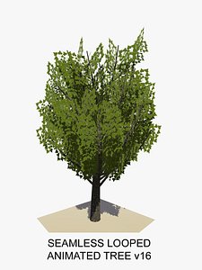 Animated Tree v16