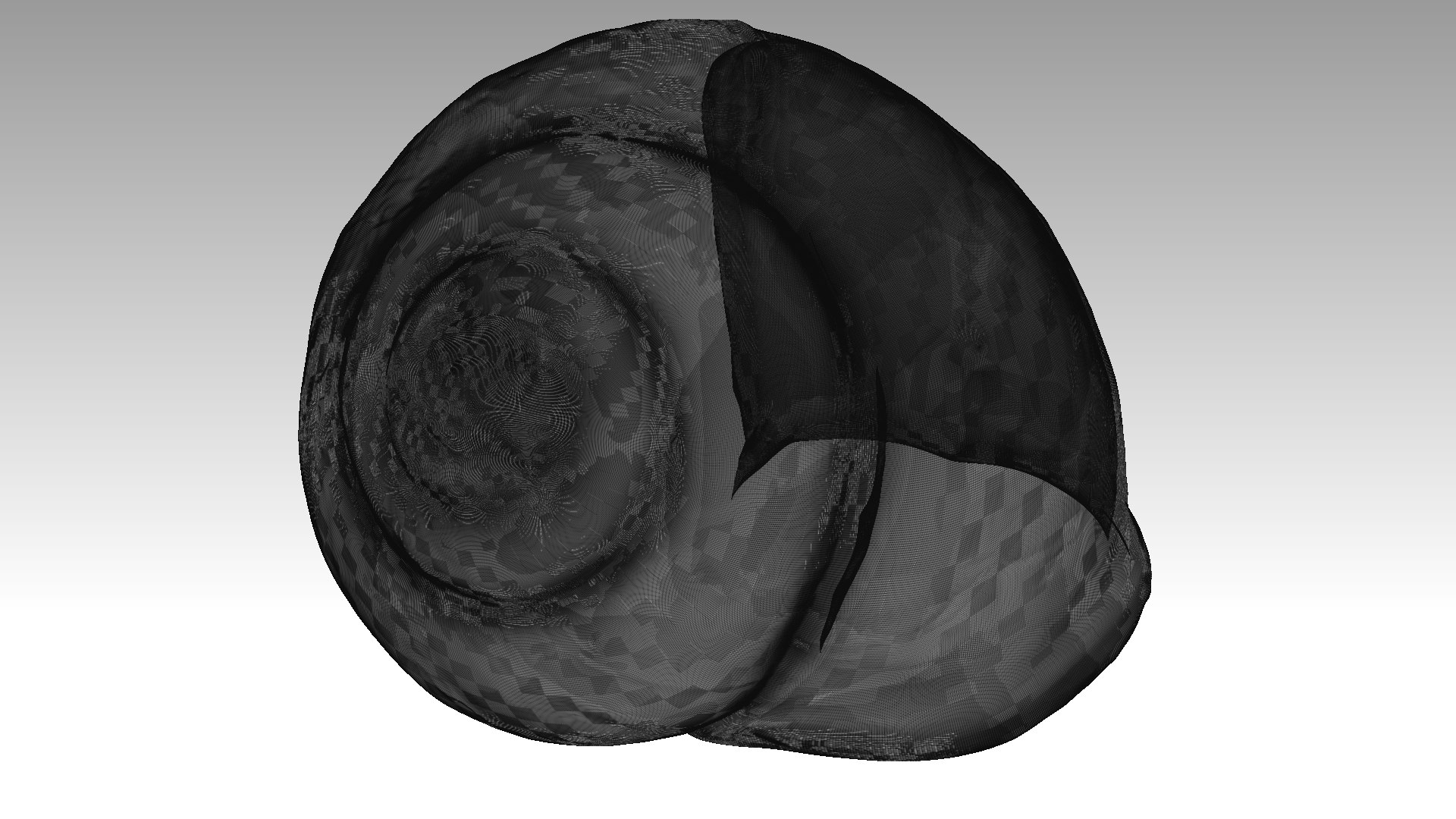 Snail Shell 3D - TurboSquid 2146336