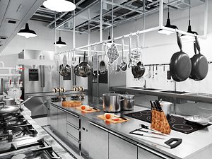 3D model Professional Commercial Kitchen Interior