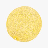Galia Melon 01 RAW Scan