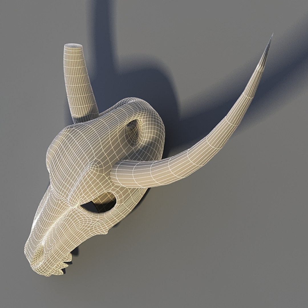 3d model animal skull https://p.turbosquid.com/ts-thumb/va/QiYCTq/5KFs8YeD/cherep_1_8/jpg/1372453281/1920x1080/fit_q87/a4cdb3f5dd9788cab3166f66d54befc913856f5f/cherep_1_8.jpg