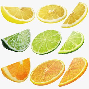 3D model Citrus fruit slice collection 2