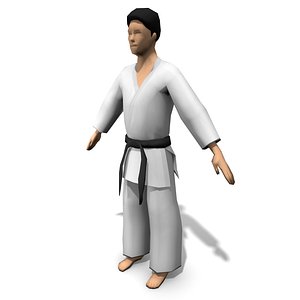 Karate man lowpoly