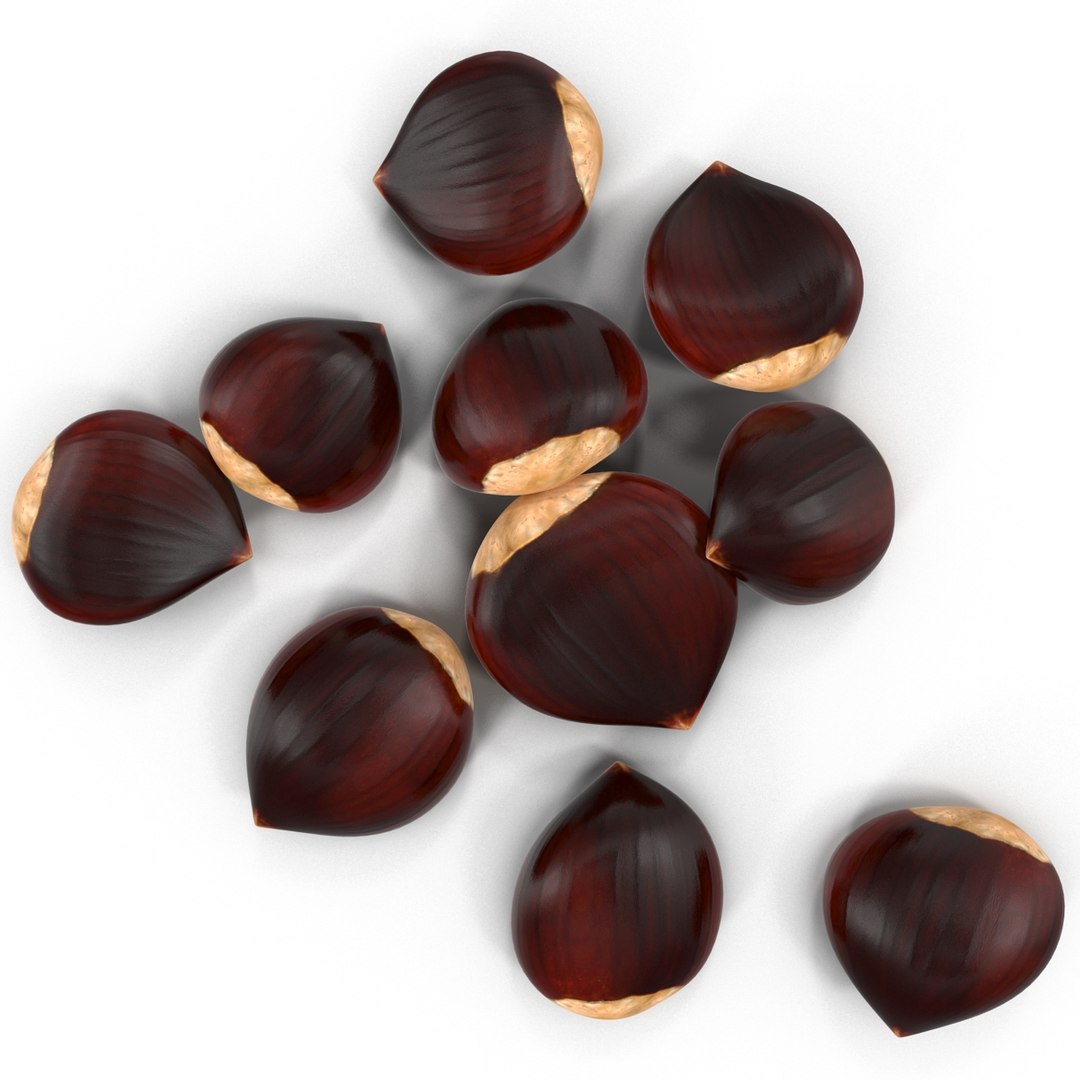 3d Chestnut 2 1
