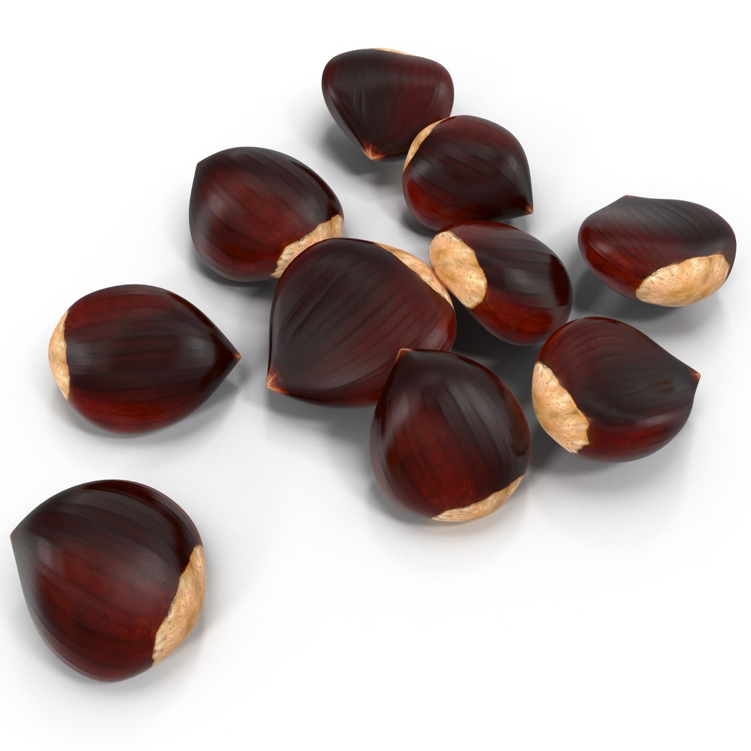 3d Chestnut 2 1