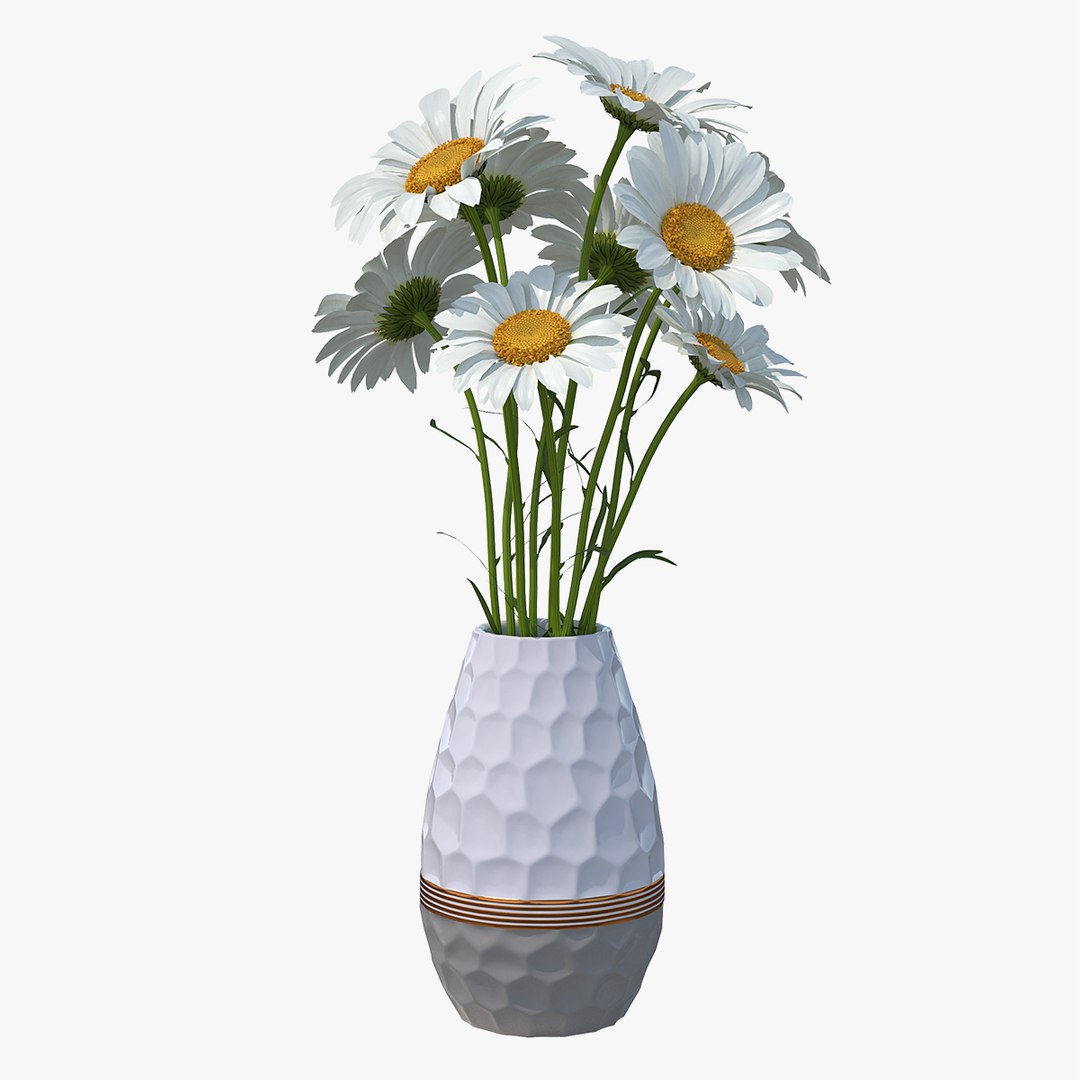 Bouquet of Chamomile Flowers in Vase 3D model preview