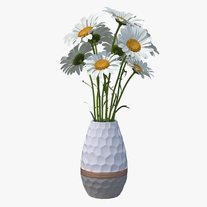 bouquet chamomile flowers vase 3D