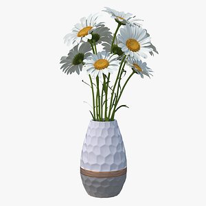 Bouquet of Chamomile Flowers in Vase
