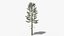Pine v5