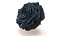 3D Realistic Black Rose 3D Model - High-Quality 4K PBR Asset model