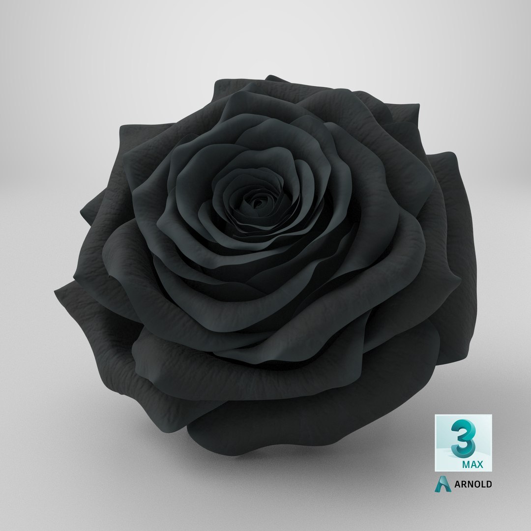 3D Realistic Black Rose 3D Model - High-Quality 4K PBR Asset model https://p.turbosquid.com/ts-thumb/vb/2LC9rF/5M/stemcell_max_arnold_render/png/1740499564/1920x1080/fit_q87/e004e2465c446b69745c9d0355828e130bb06608/stemcell_max_arnold_render.jpg