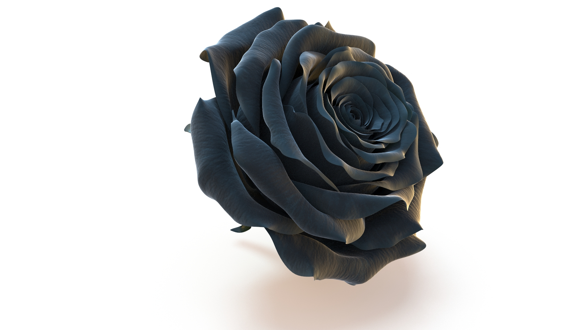 3D Realistic Black Rose 3D Model - High-Quality 4K PBR Asset model https://p.turbosquid.com/ts-thumb/vb/2LC9rF/B4/r/jpg/1740406241/1920x1080/turn_fit_q99/a9ec739845c42a00b7153f5bcb5f0138378819c3/r-1.jpg