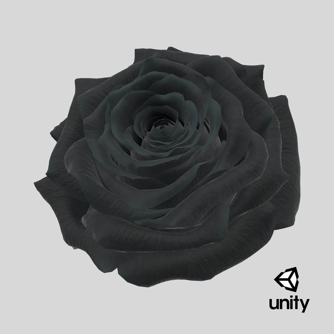 3D Realistic Black Rose 3D Model - High-Quality 4K PBR Asset model https://p.turbosquid.com/ts-thumb/vb/2LC9rF/Ls/stemcell_unity_render/png/1740499566/1920x1080/fit_q87/6ffea6e4820d7fe7ff3c2fb4e7e01c8584c12119/stemcell_unity_render.jpg