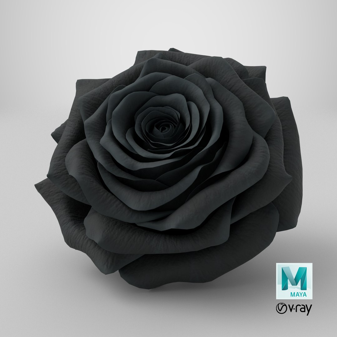 3D Realistic Black Rose 3D Model - High-Quality 4K PBR Asset model https://p.turbosquid.com/ts-thumb/vb/2LC9rF/Ns/stemcell_maya_vray_render/png/1740499556/1920x1080/fit_q87/a4b03f3df4aa0b7c1809b77f9a1acc4a80e1d439/stemcell_maya_vray_render.jpg