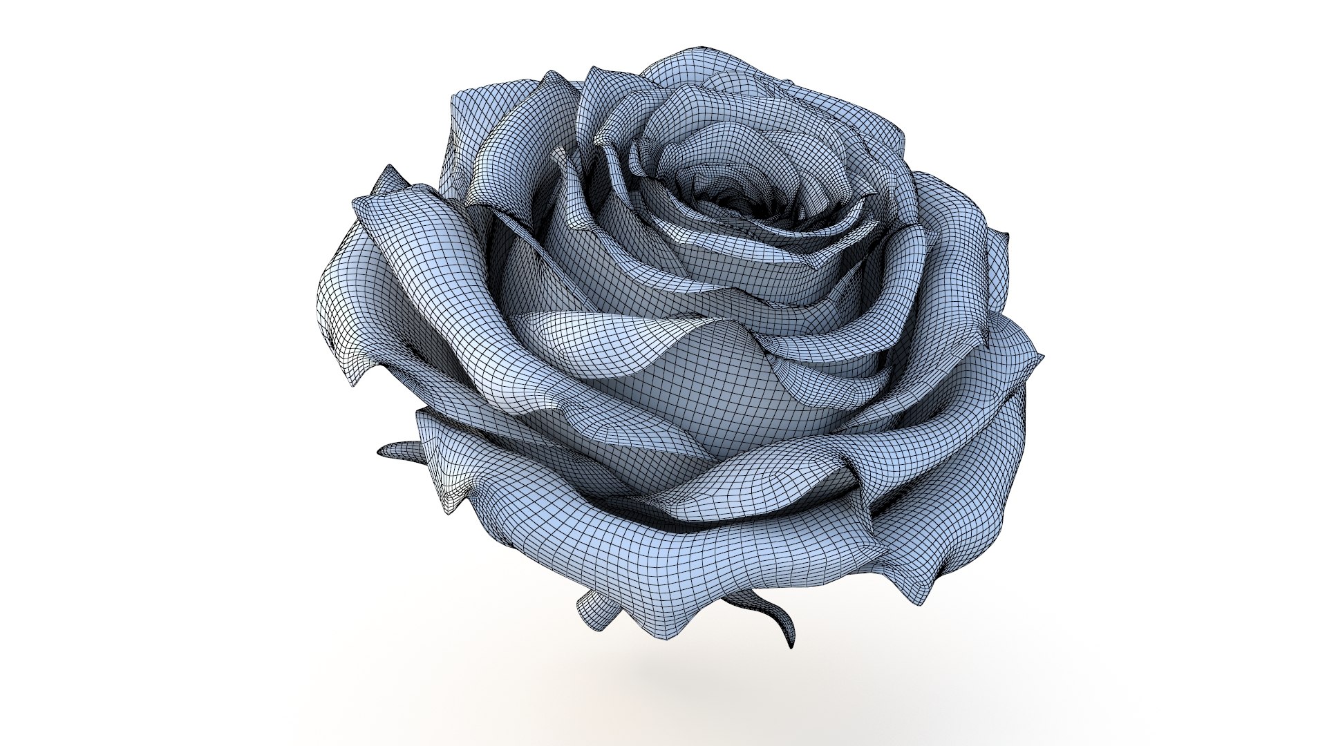 3D Realistic Black Rose 3D Model - High-Quality 4K PBR Asset model https://p.turbosquid.com/ts-thumb/vb/2LC9rF/hG/wire_2/jpg/1740406218/1920x1080/fit_q87/5c1107679ef0ee8c6381f225603f9658936e0ca5/wire_2.jpg