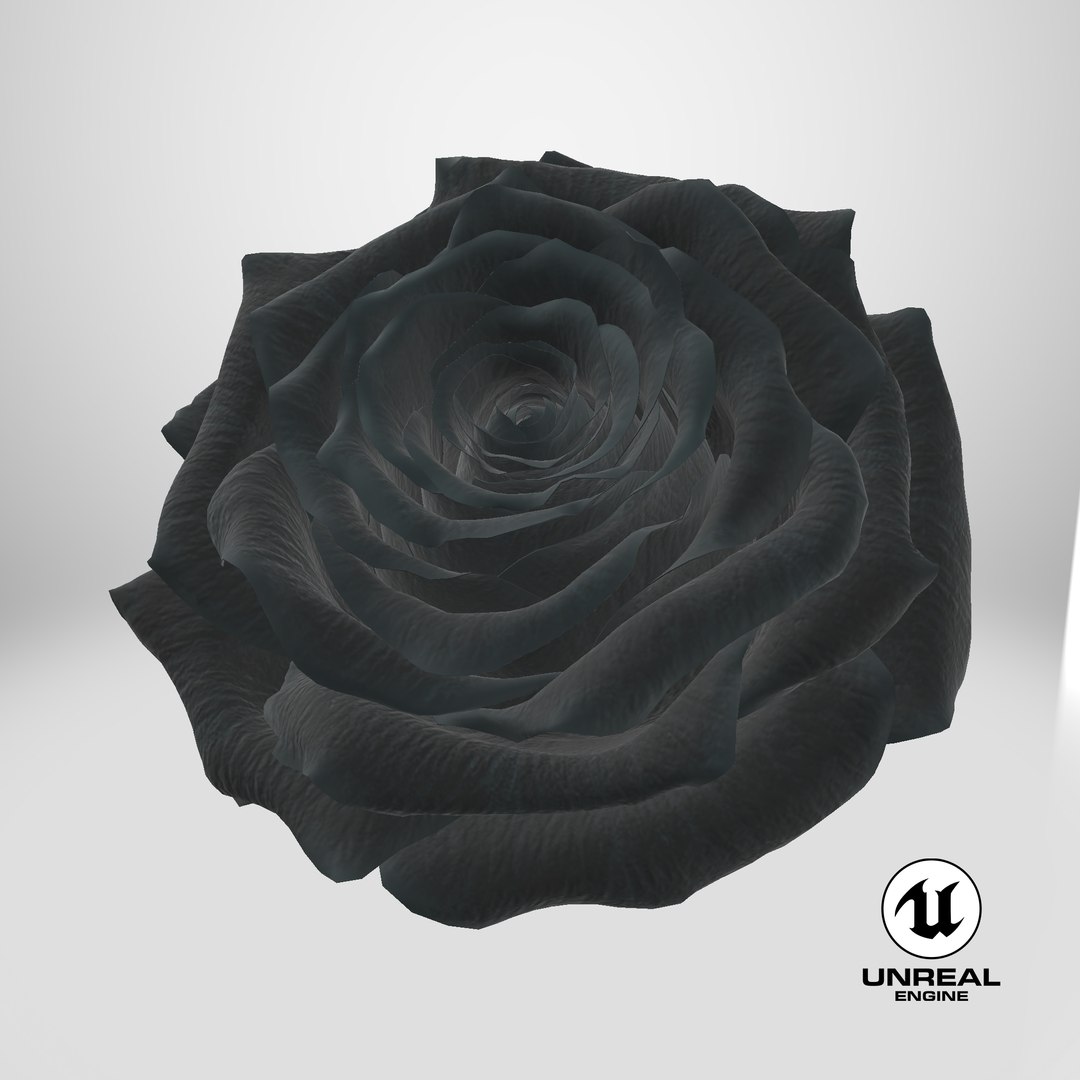 3D Realistic Black Rose 3D Model - High-Quality 4K PBR Asset model https://p.turbosquid.com/ts-thumb/vb/2LC9rF/jp/stemcell_unreal_render/png/1740499565/1920x1080/fit_q87/622cb2d4e3f9c783705db6a78186704cf810cb2a/stemcell_unreal_render.jpg