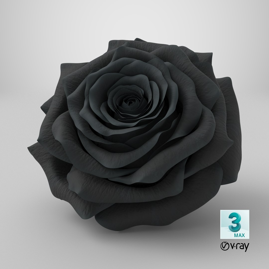 3D Realistic Black Rose 3D Model - High-Quality 4K PBR Asset model https://p.turbosquid.com/ts-thumb/vb/2LC9rF/kM/stemcell_max_vray_render/png/1740499561/1920x1080/fit_q87/2aa4603aaab019486c58b7816b62ff72effc1296/stemcell_max_vray_render.jpg