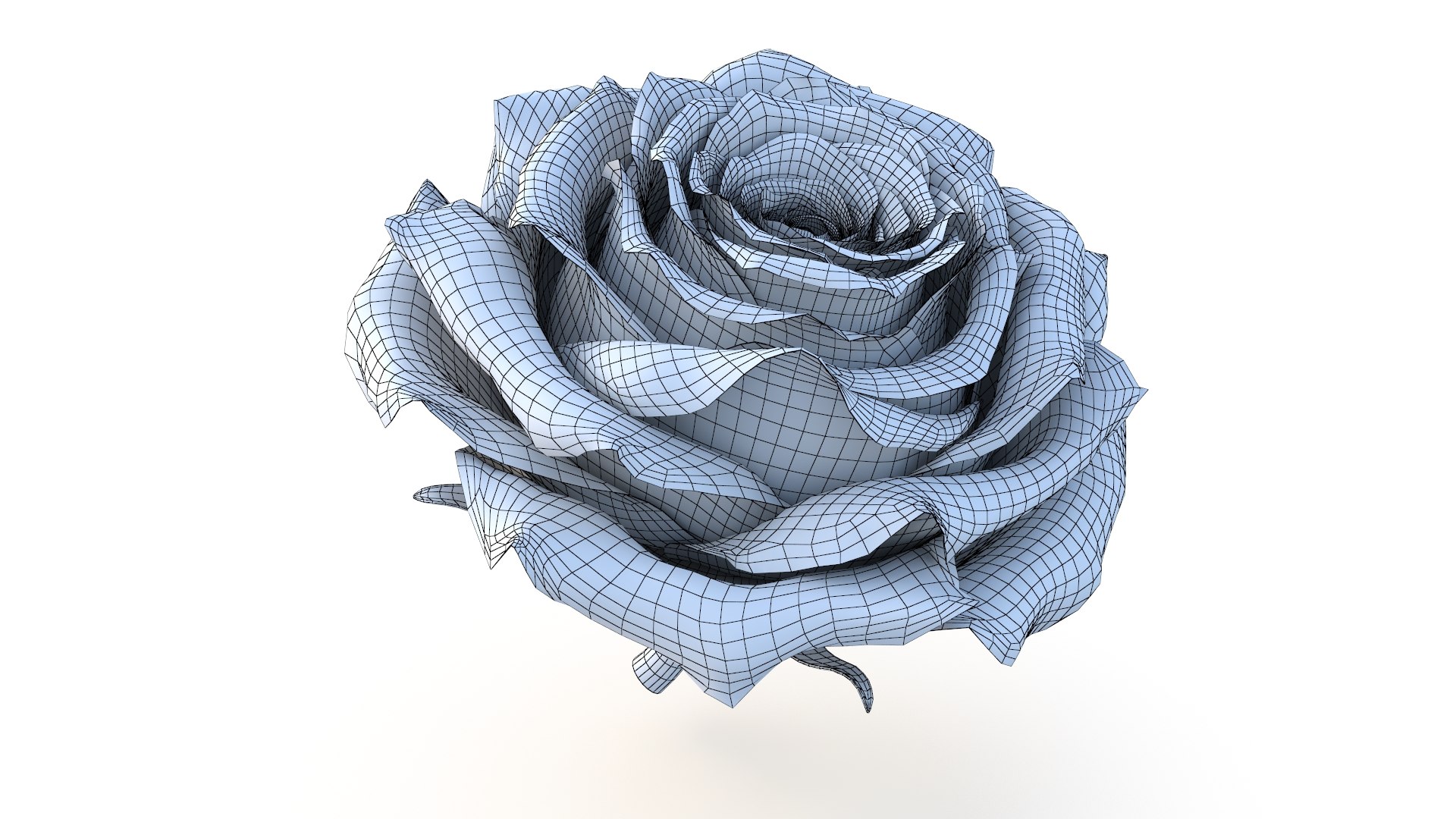 3D Realistic Black Rose 3D Model - High-Quality 4K PBR Asset model https://p.turbosquid.com/ts-thumb/vb/2LC9rF/vs/wire_1/jpg/1740406218/1920x1080/fit_q87/82fbc85804ae0d2a3d5affc8a92bc2bb4d8e74ae/wire_1.jpg