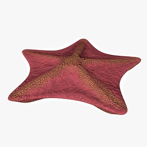 Starfish 3D