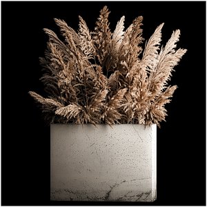 3D Deorative Bouquet In A Concrete Vase Of Dry Reeds 268 model