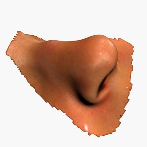 Nose Scan High Quality 3D model