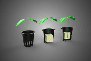 STANDARD CUBE SPONGE ROCK WOOL FOAM PLUG MEDIUM IN PLANT NET POT