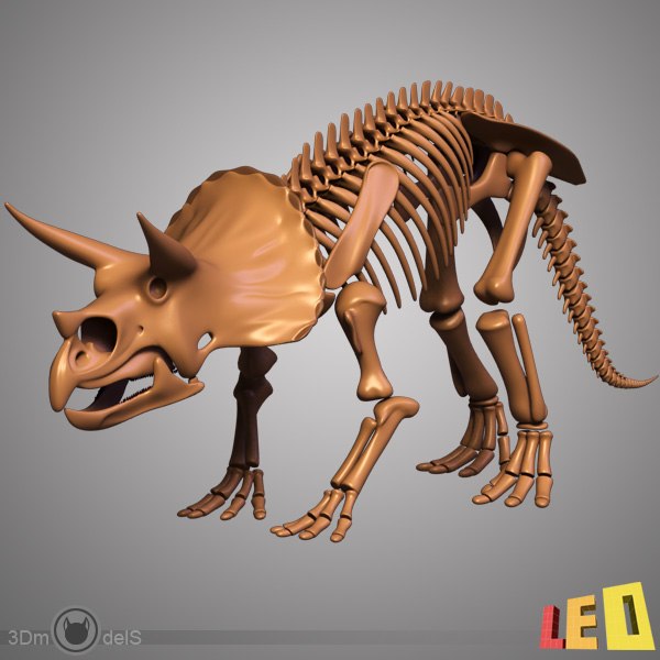 恐竜の骨格/トリケラトプス/骨が別々3Dモデル - TurboSquid 623091